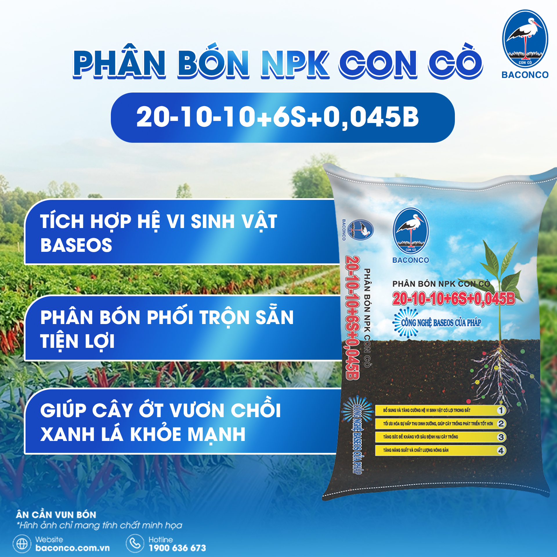NPKconco