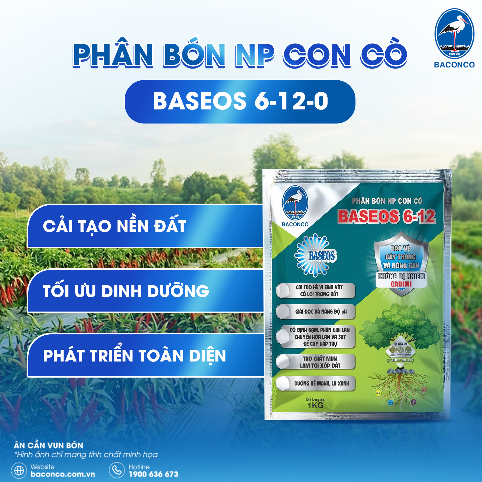 NPconco