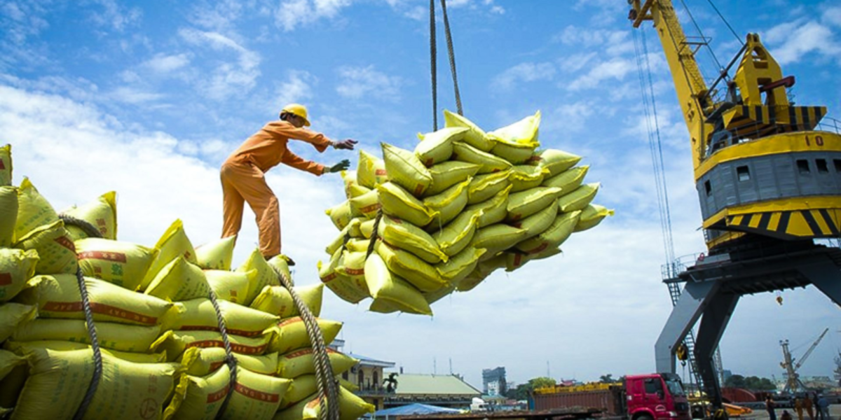 Vị trí hiện tại cho thấy nỗ lực duy trì sản lượng chất lượng và vị thế của gạo Việt Nam trên thị trường quốc tế