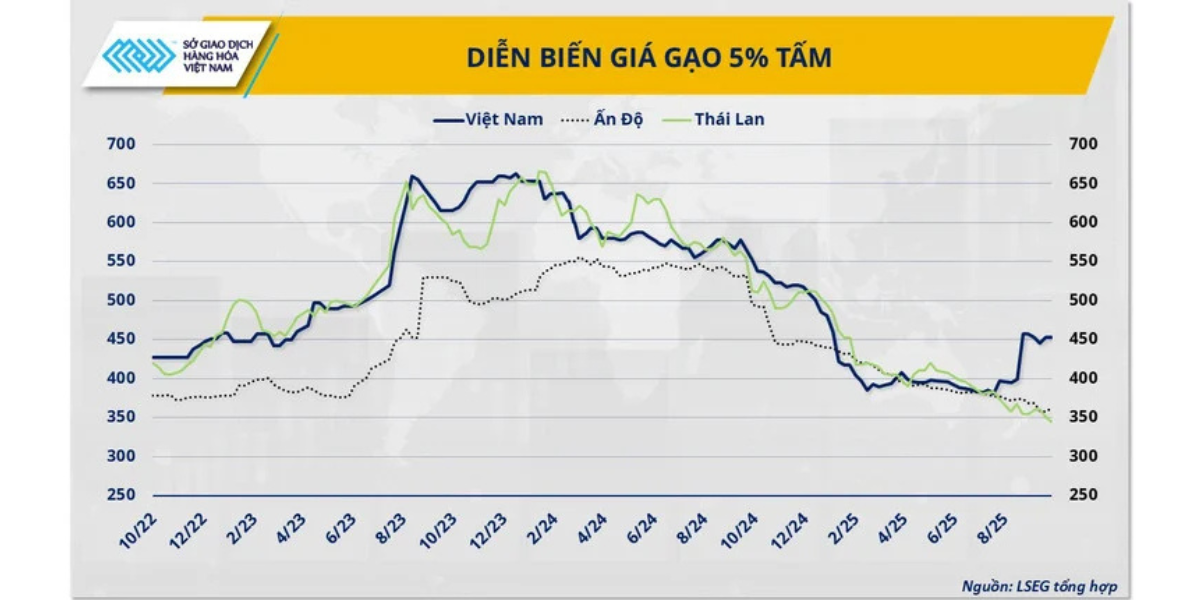 Diễn biến giá gạo 5 tấm của Việt Nam