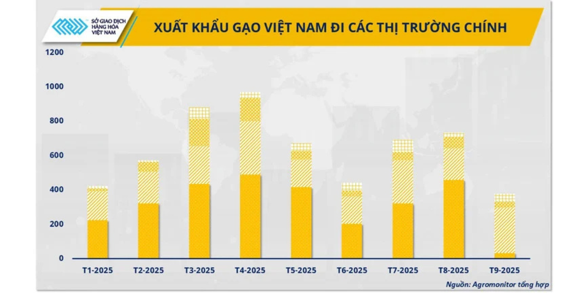 Xuất khẩu gạo Việt Nam đi các thị trường chính