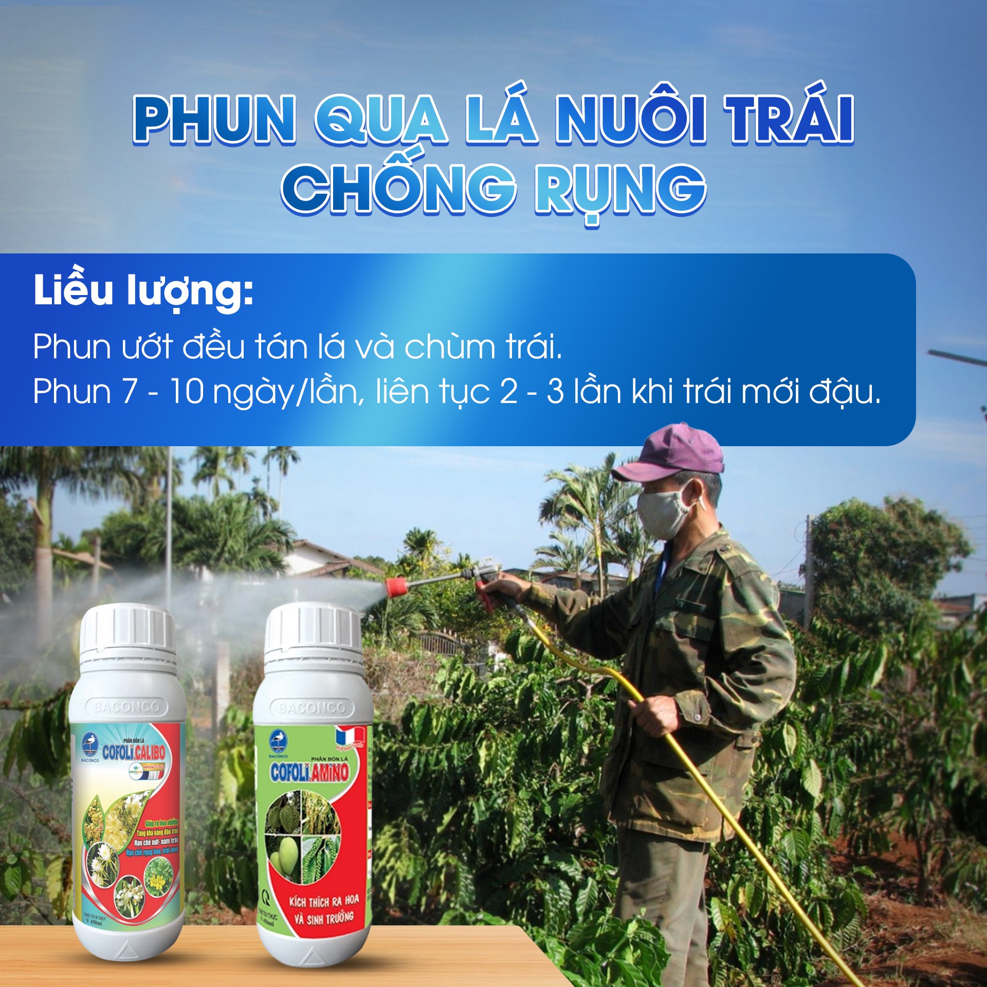Công thức phun qua lá