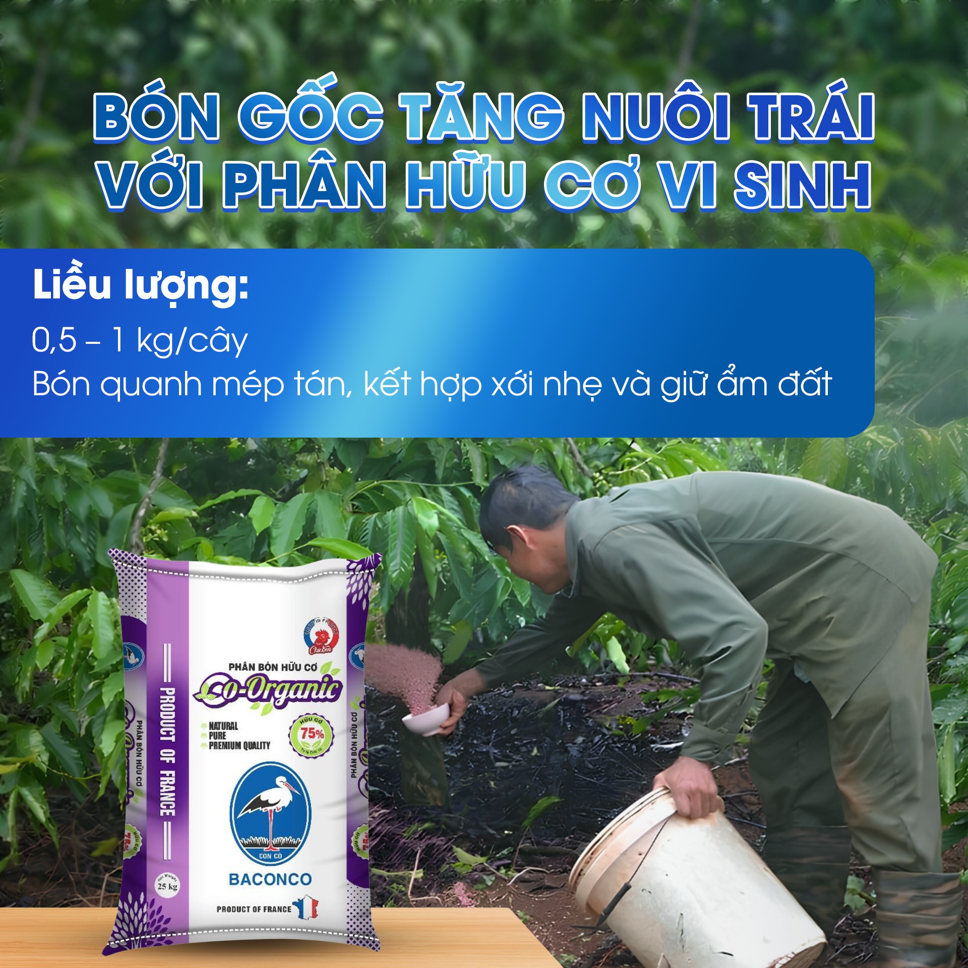 Cải tạo đất với CO ORGANIC BACONCO