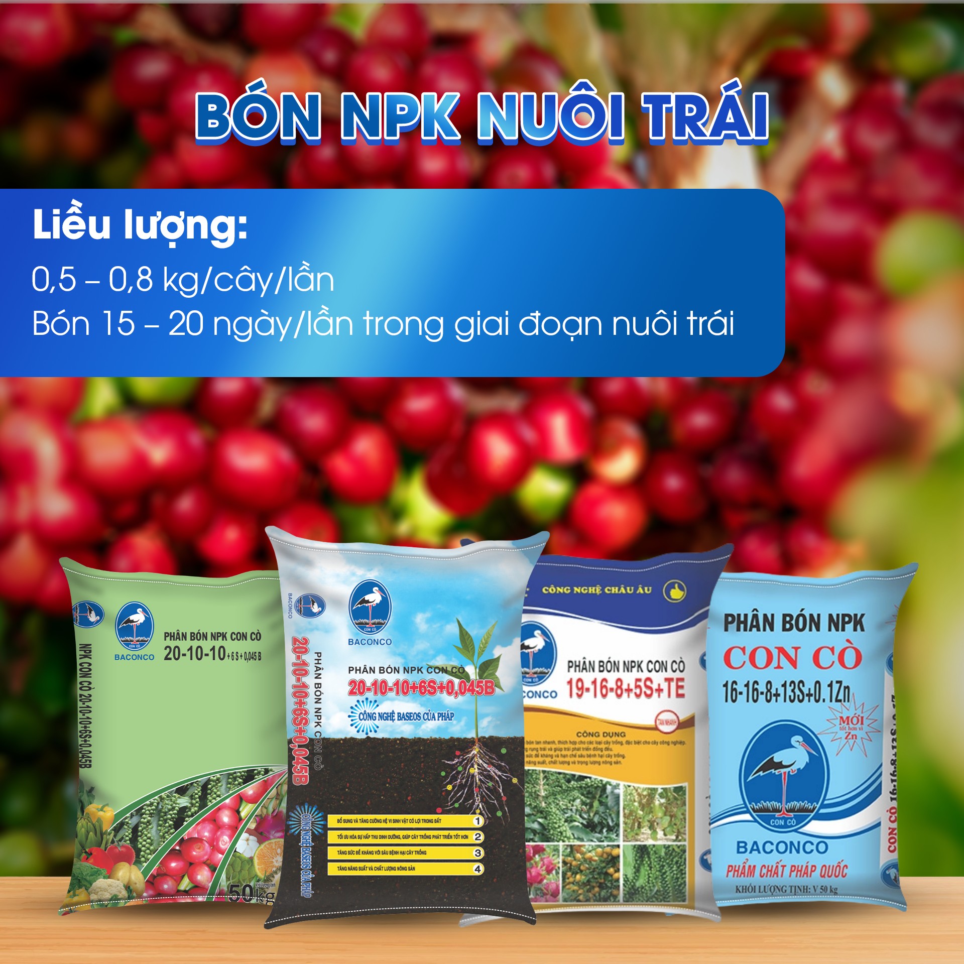 Sử dụng NPK CON CÒ để nuôi trái lớn