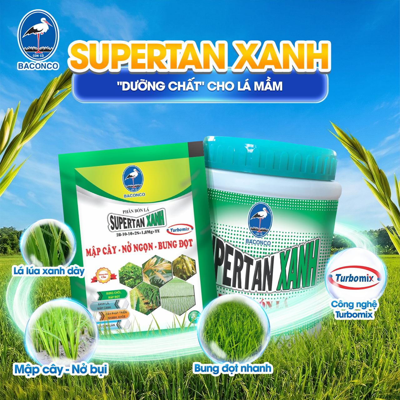 SUPERTAN XANH Dưỡng chất giúp xanh lá nở bụi