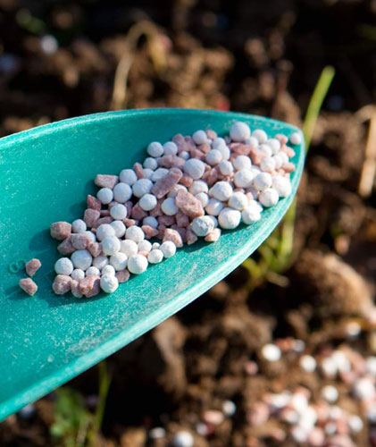 Fertilizer