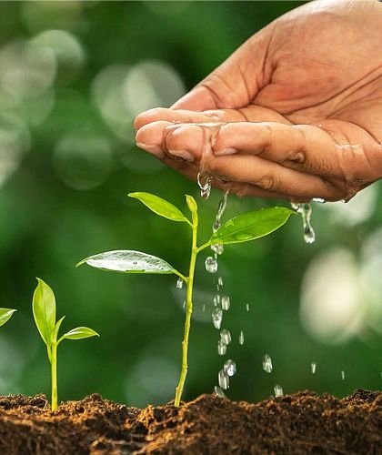 Foliar Fertilizer