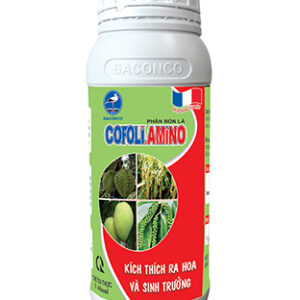 COFOLI AMINO