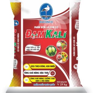 CON CÒ ĐẠM KALI