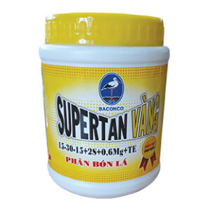 CON CÒ SUPERTAN VÀNG