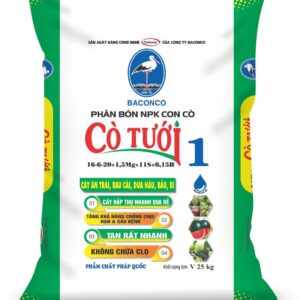 CON CÒ TƯỚI 1