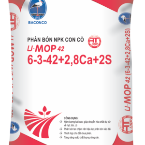 NP UMOP 6-3-42